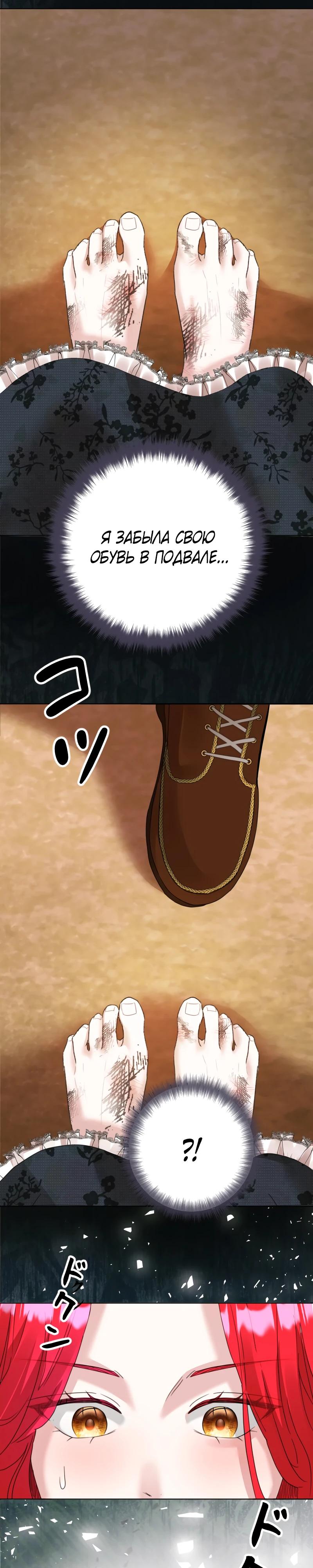 Глава 1 - страница 50