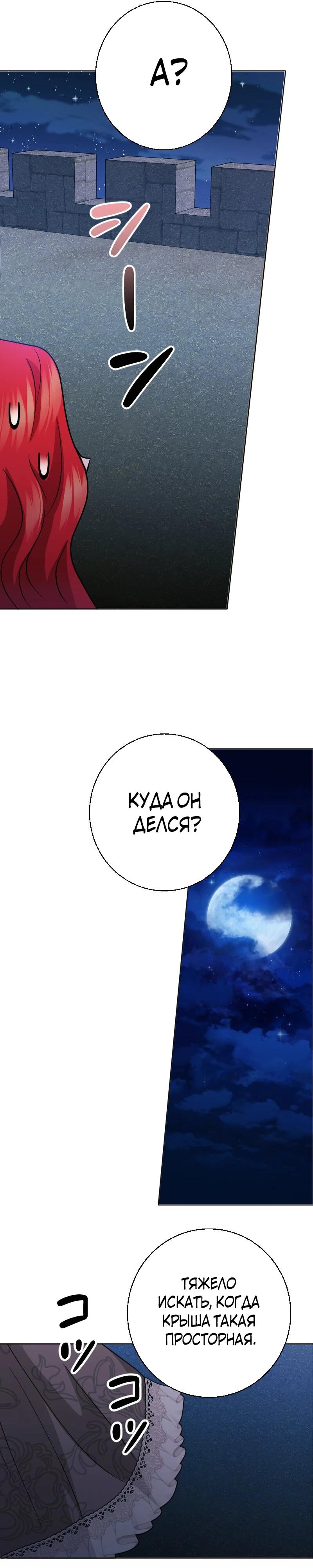 Глава 21 - страница 29