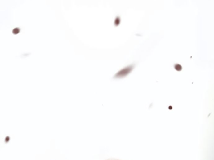 Глава 74 - страница 75