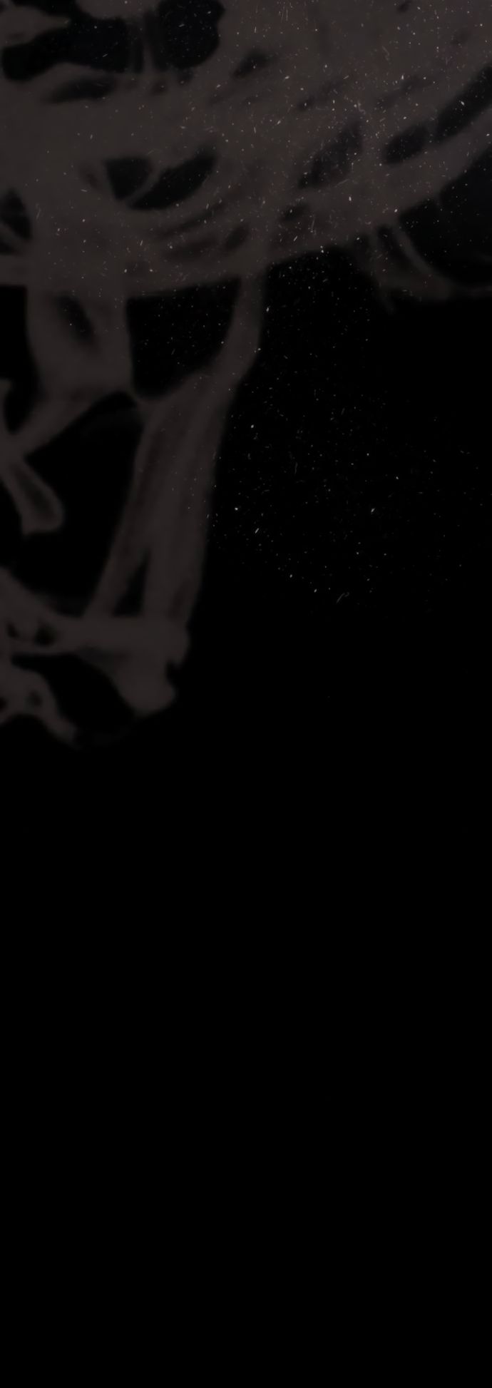 Глава 75 - страница 31