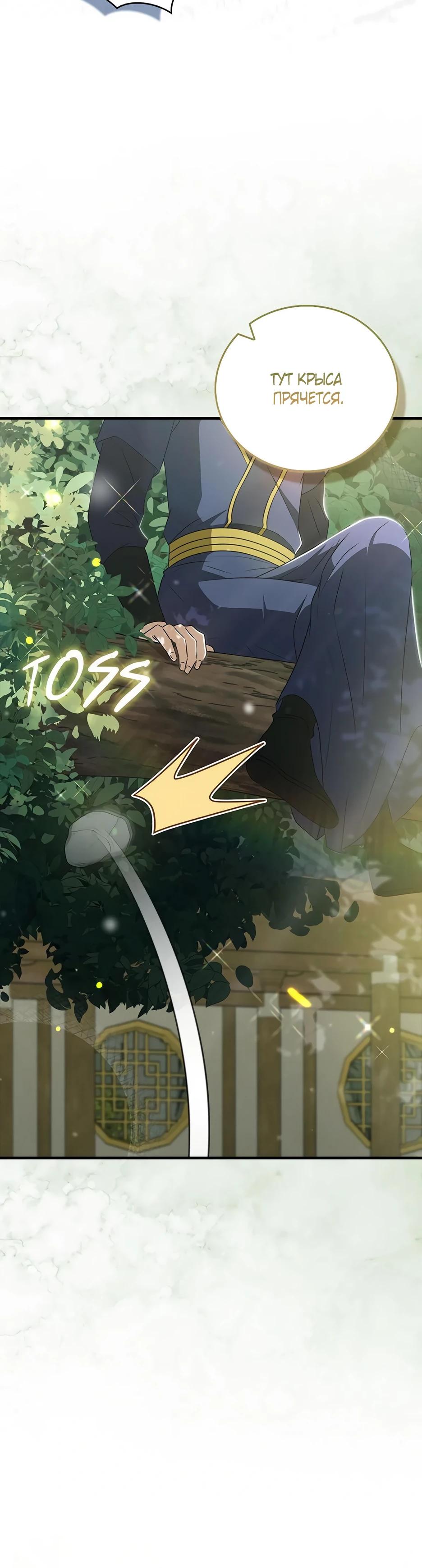 Глава 41 - страница 45