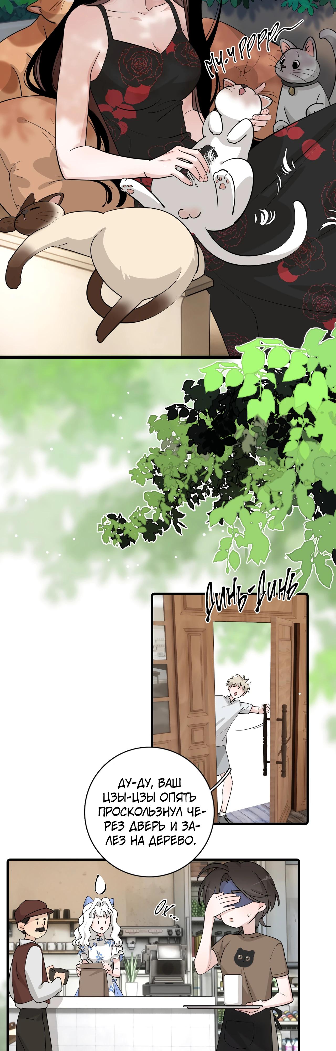 Глава 4 - страница 13
