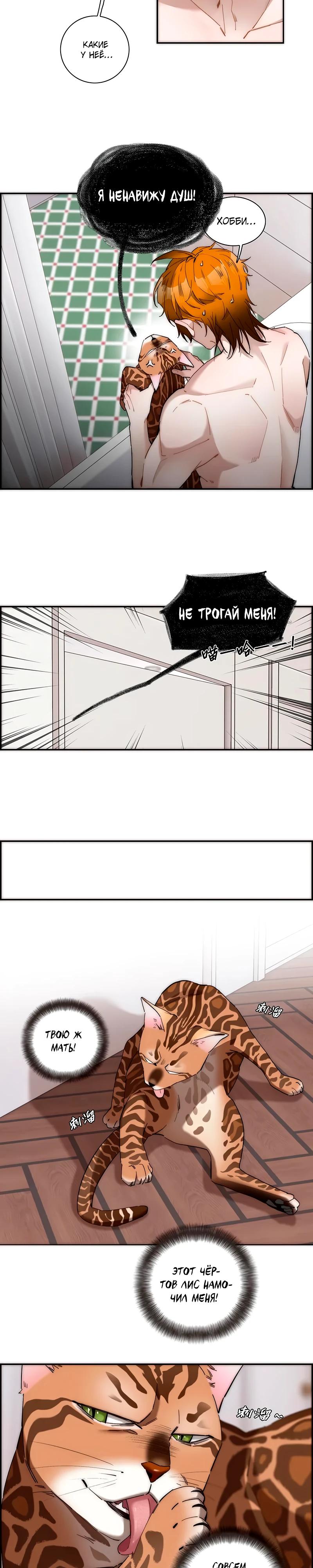 Глава 11 - страница 6