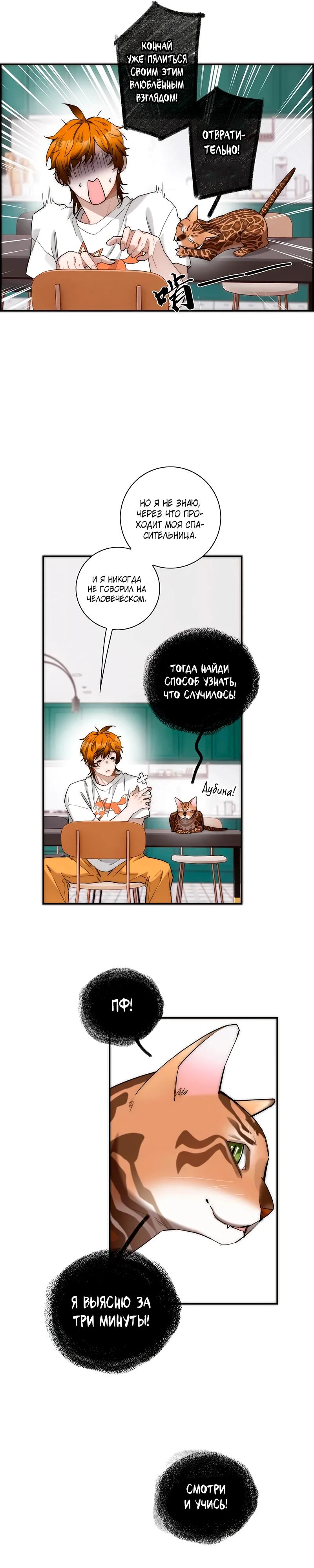 Глава 13 - страница 13