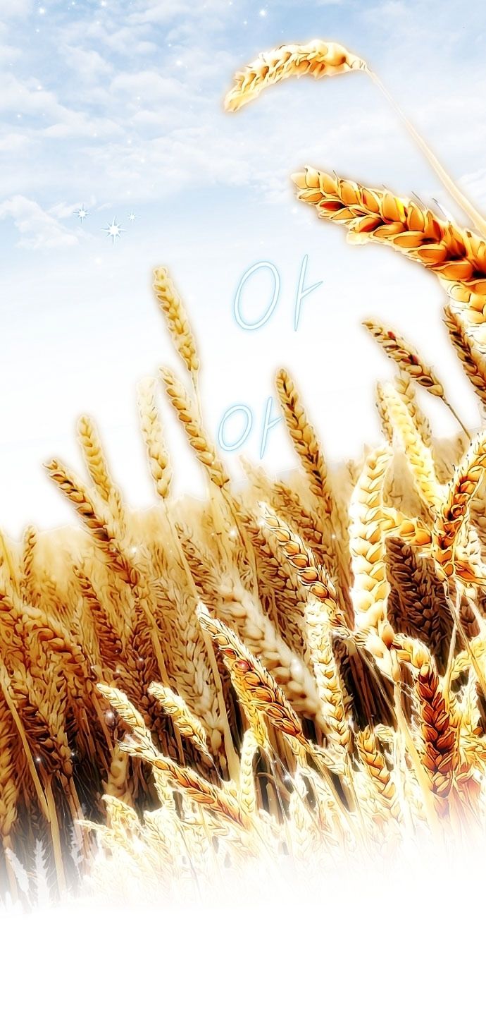 Глава 75 - страница 60