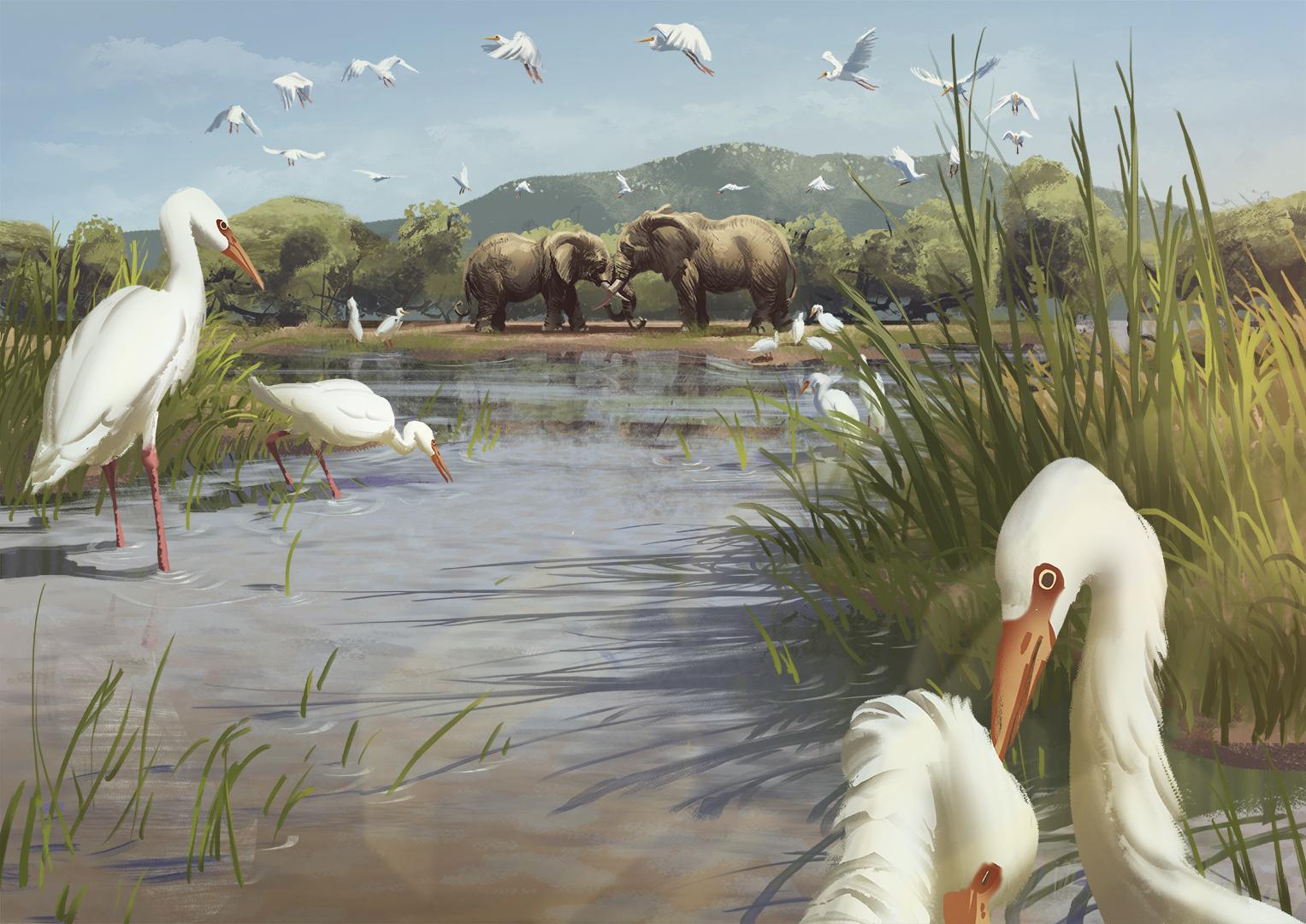 Глава 1 - страница 8