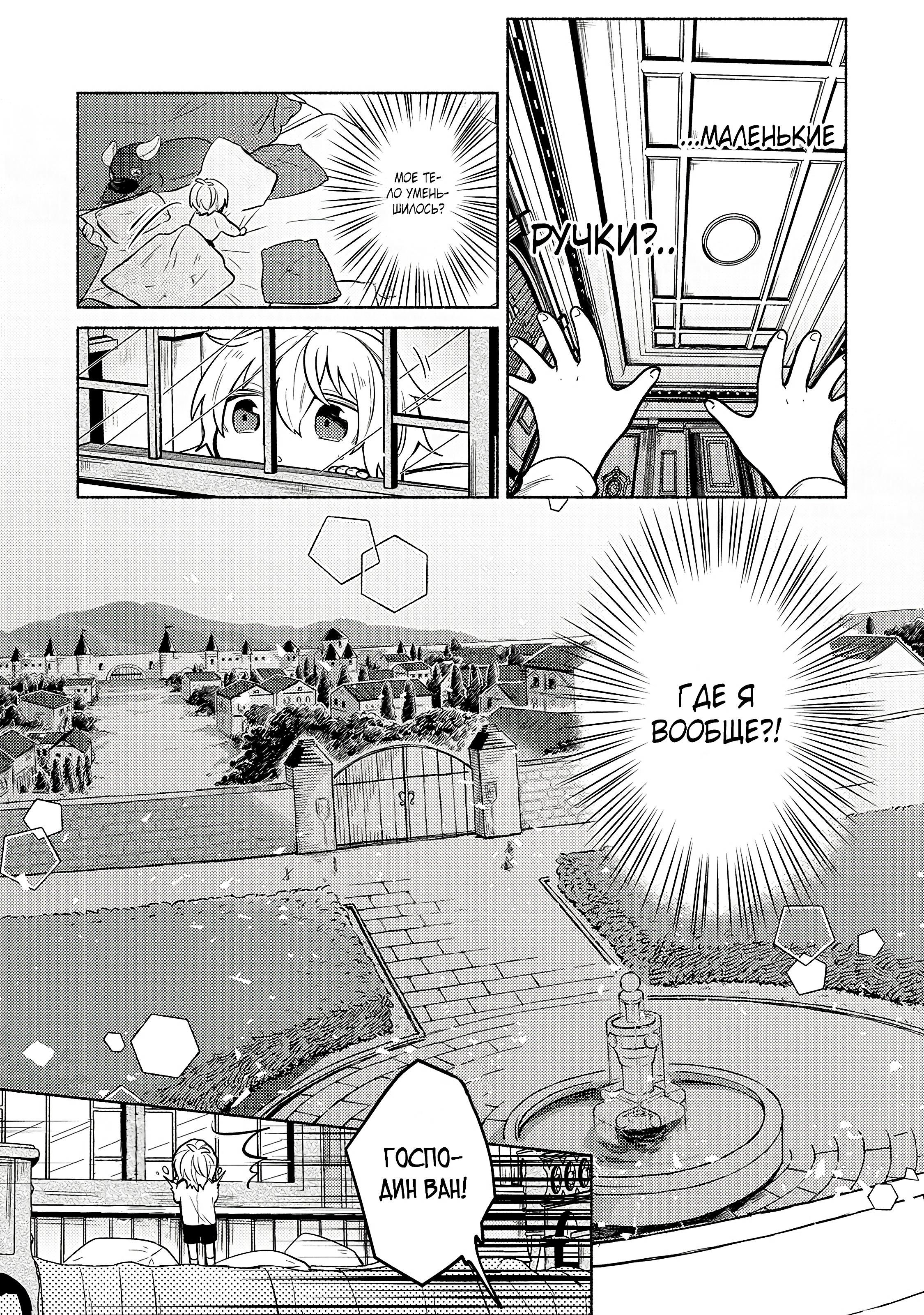 Глава 1 - страница 8