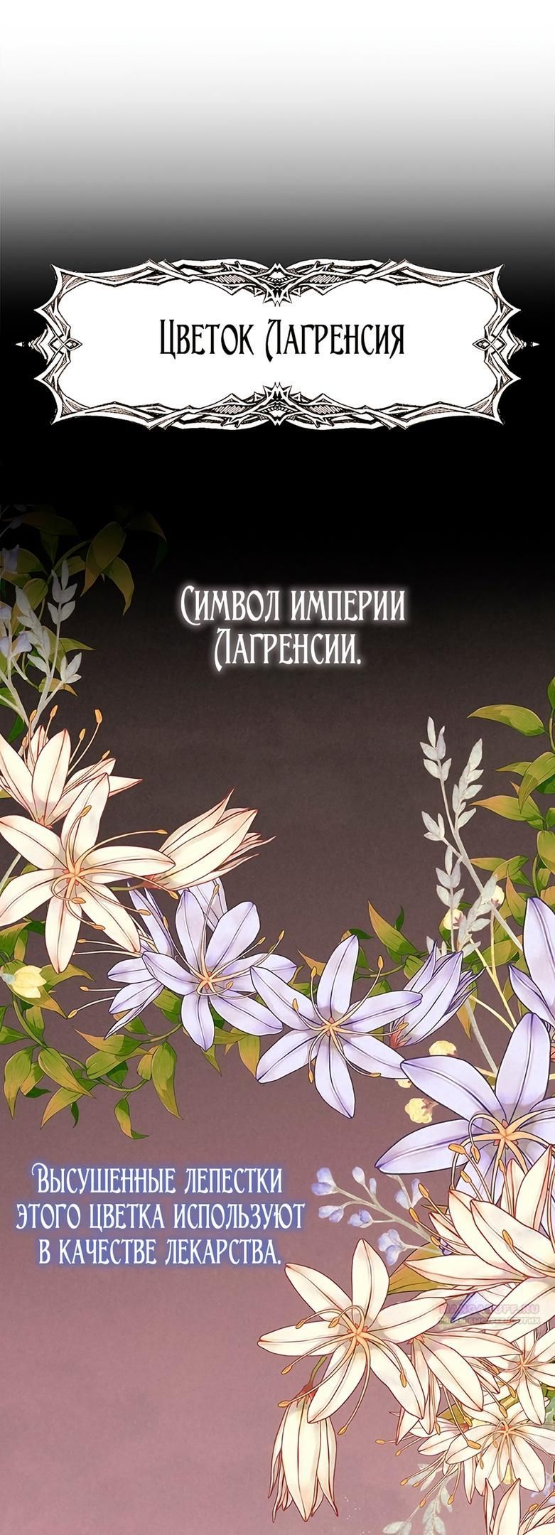 Глава 1 - страница 24