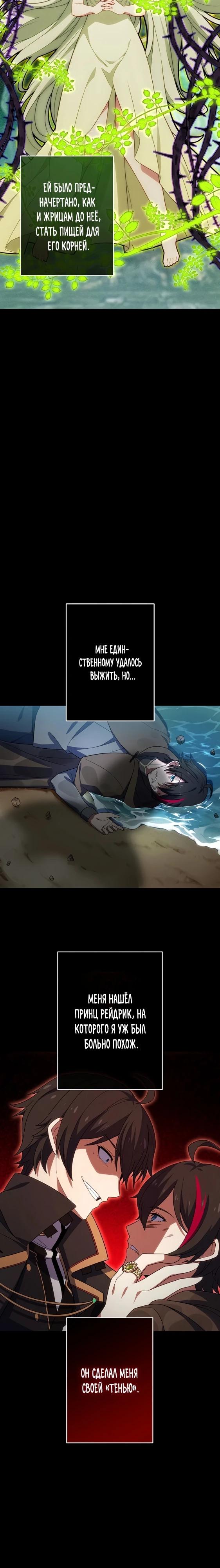 Глава 1 - страница 28