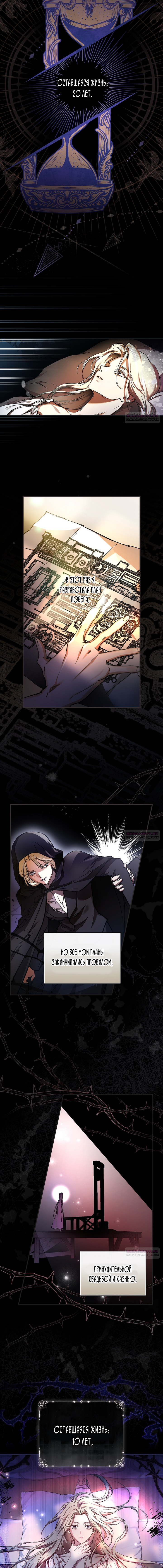 Глава 1 - страница 10