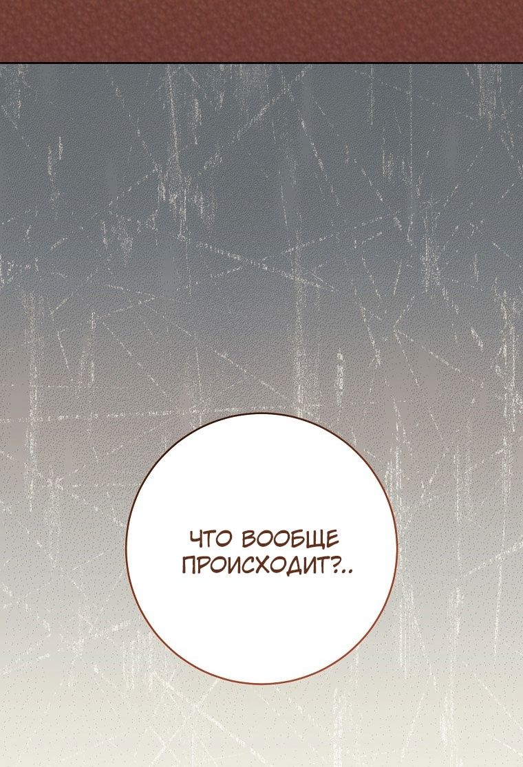 Глава 66 - страница 91