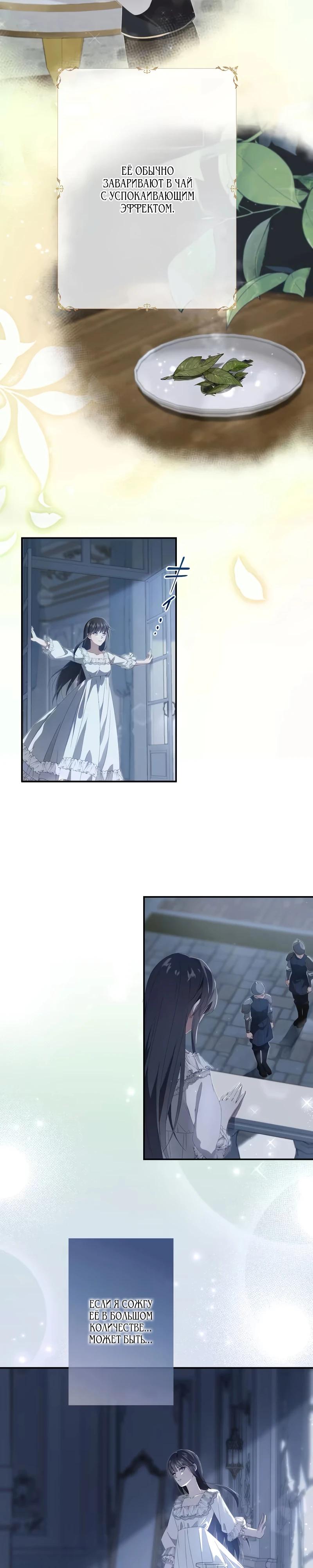 Глава 2 - страница 31