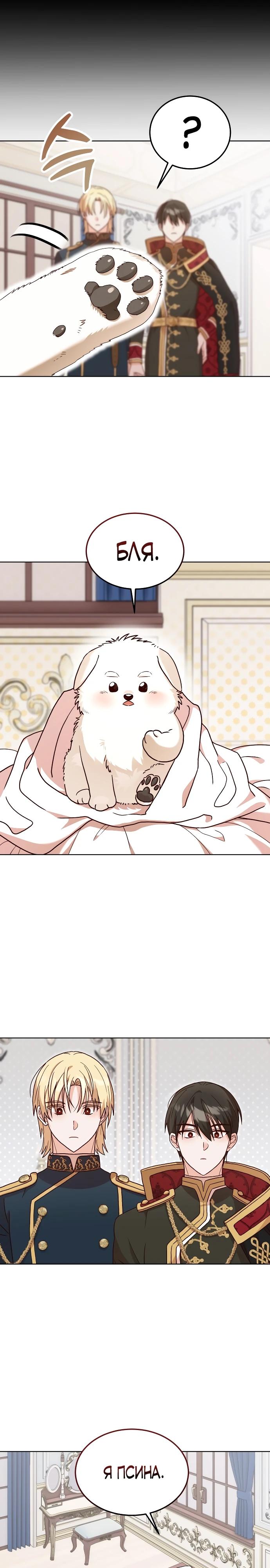 Глава 1 - страница 13