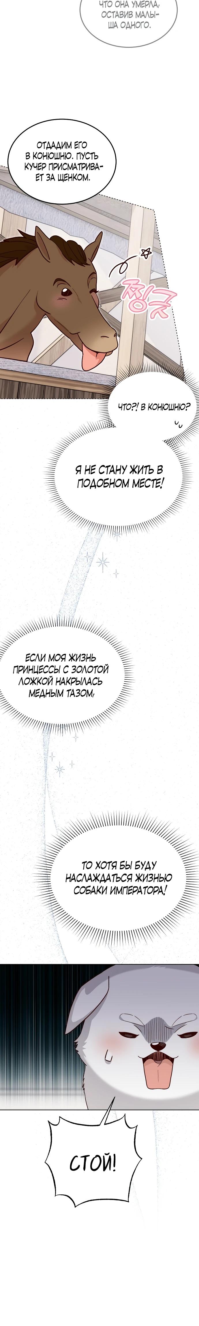 Глава 1 - страница 16