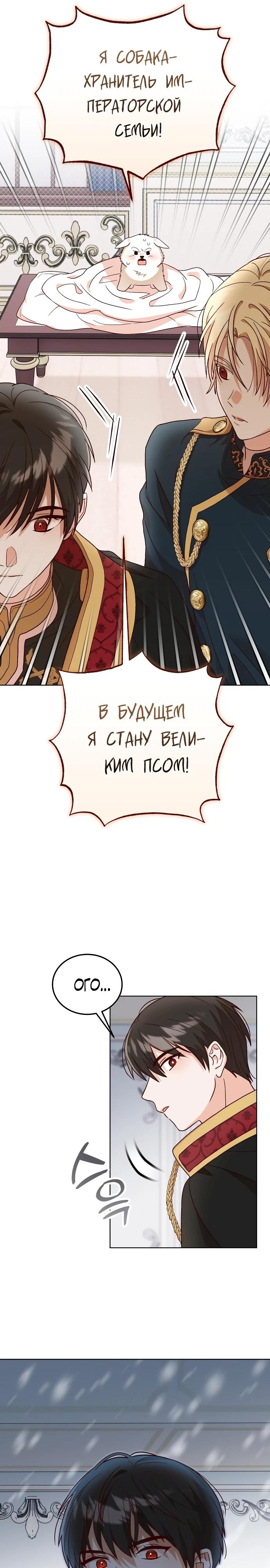 Глава 1 - страница 17