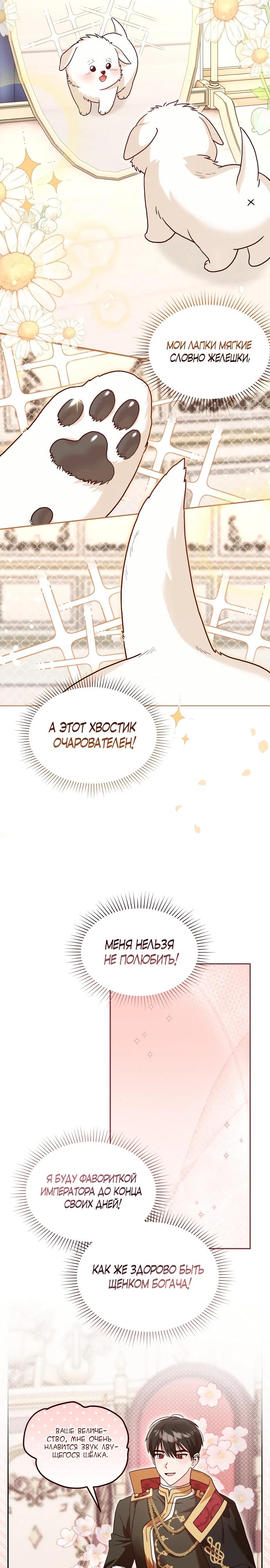 Глава 2 - страница 13