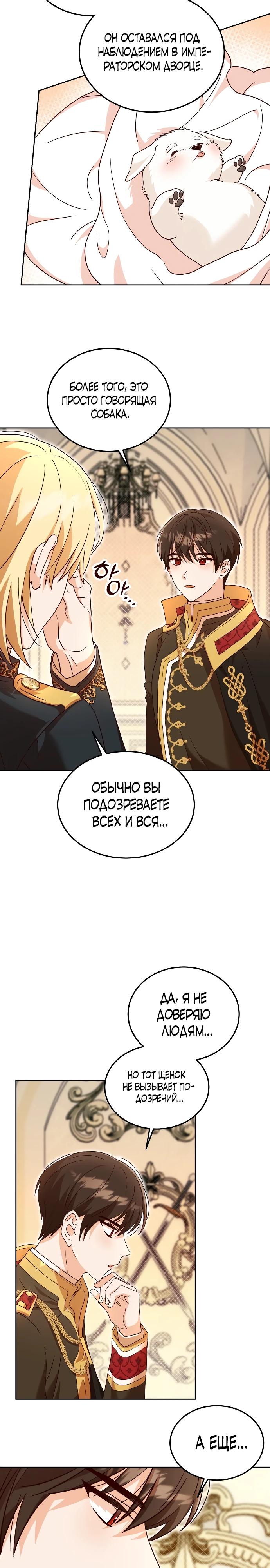 Глава 2 - страница 17