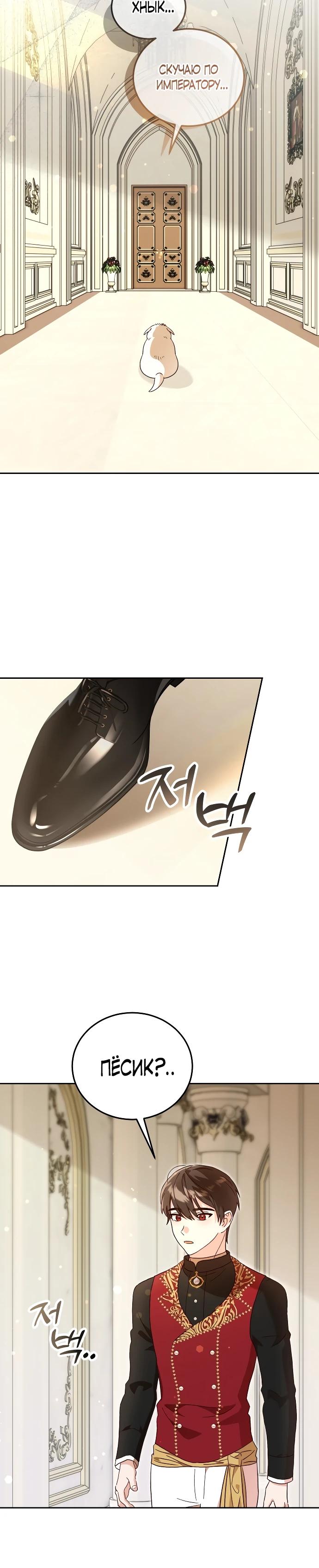 Глава 3 - страница 23