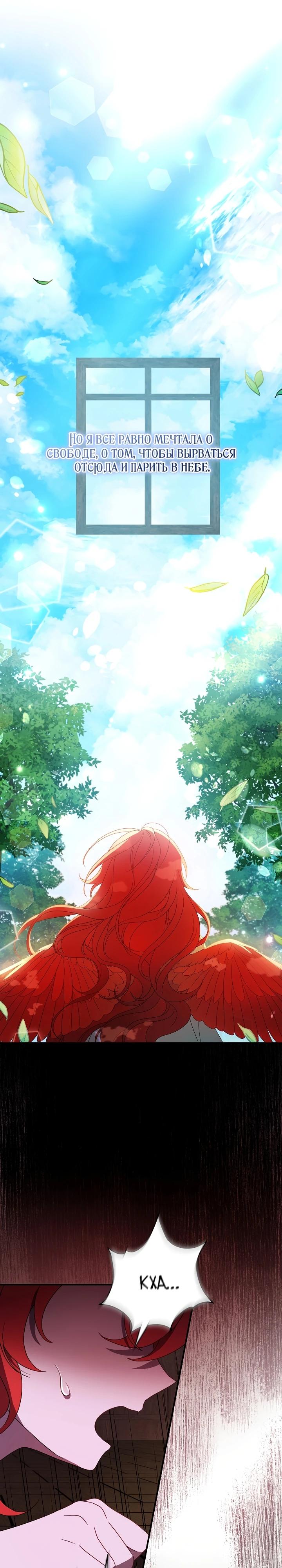 Глава 1 - страница 19