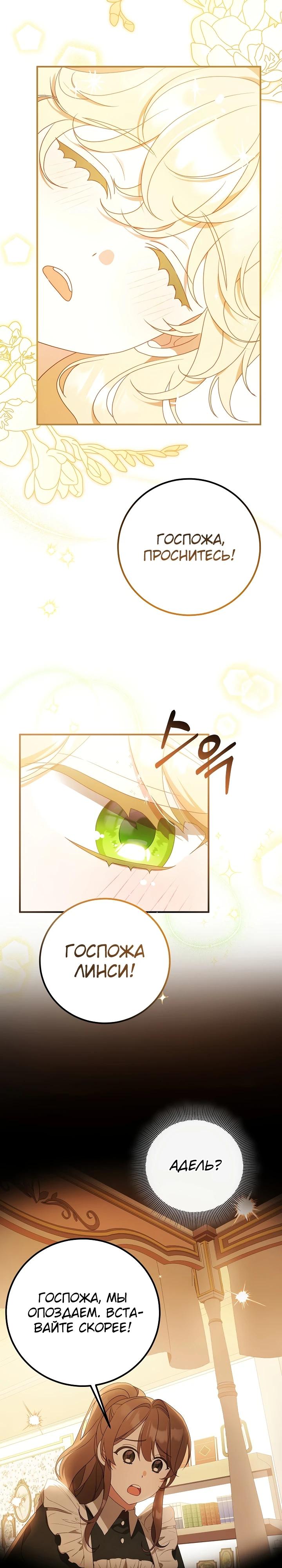 Глава 1 - страница 25