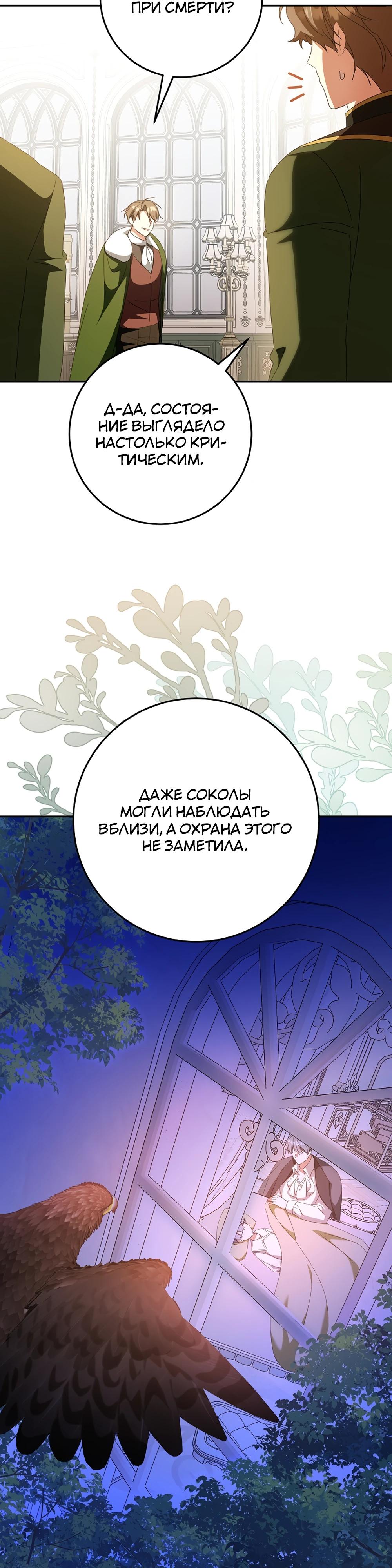 Глава 64 - страница 33