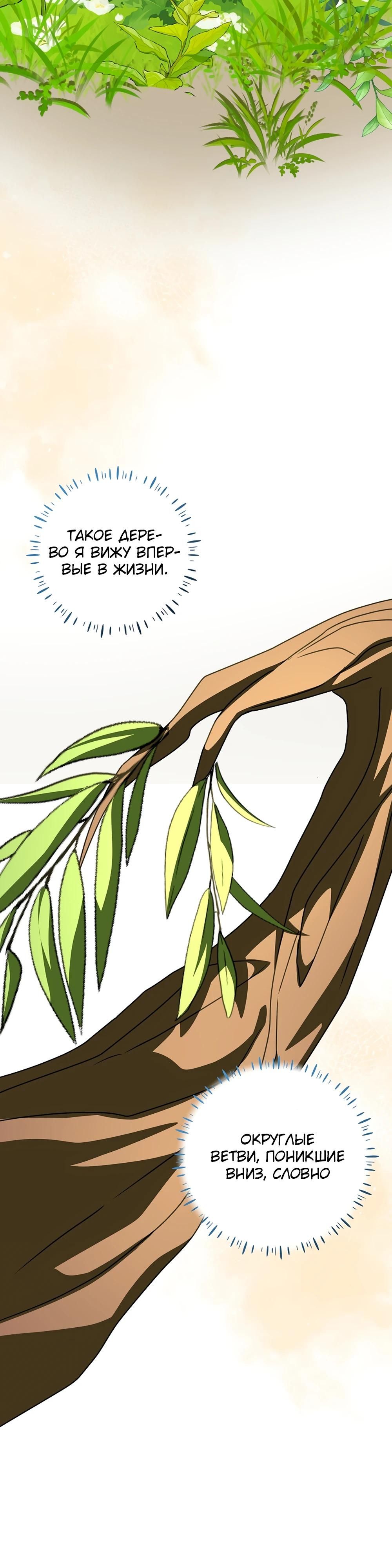 Глава 66 - страница 32