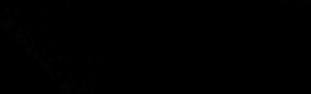 Глава 70 - страница 59