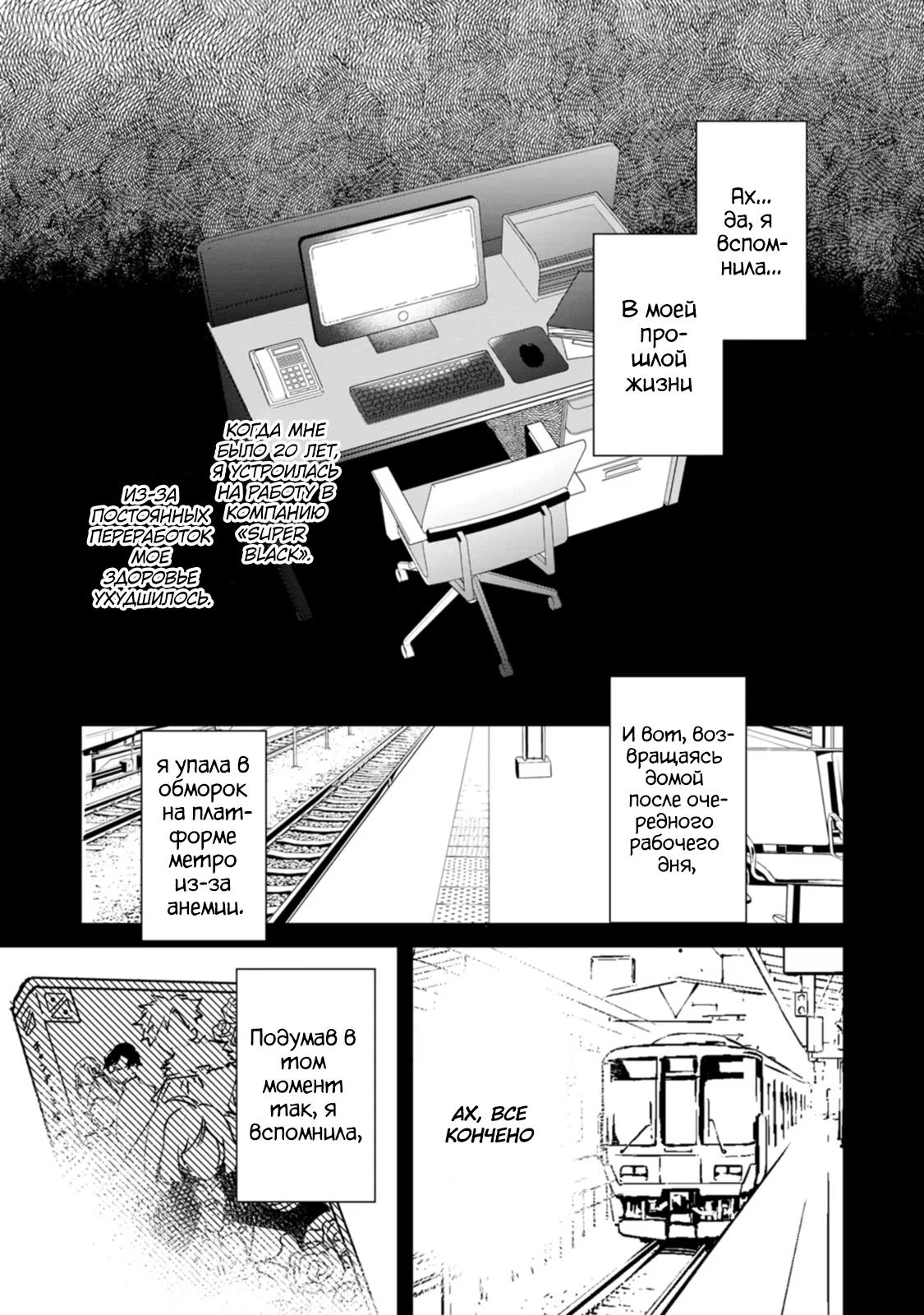 Глава 1 - страница 11