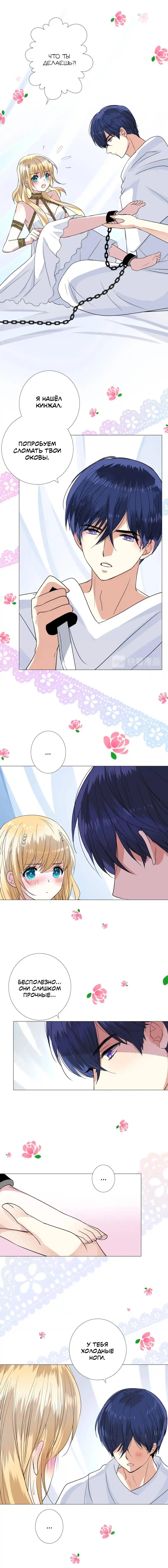 Глава 26: Страж во тьме! - страница 6