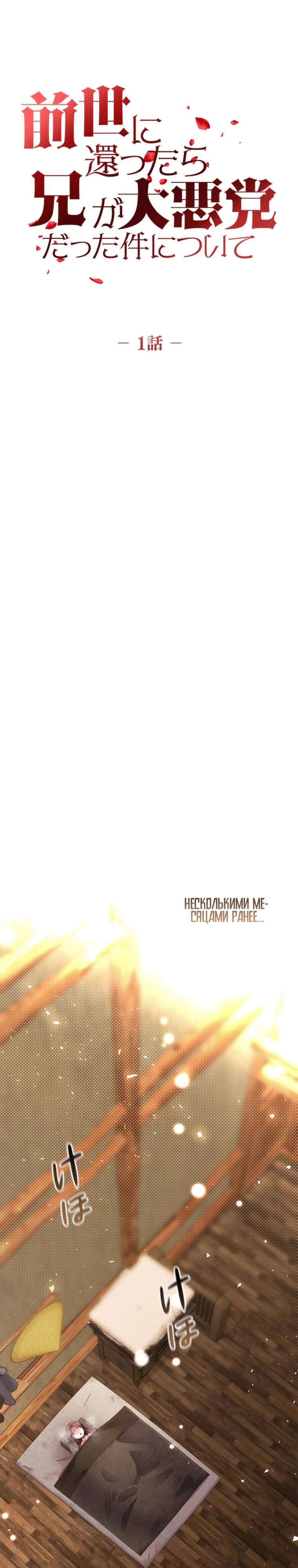 Глава 1 - страница 12