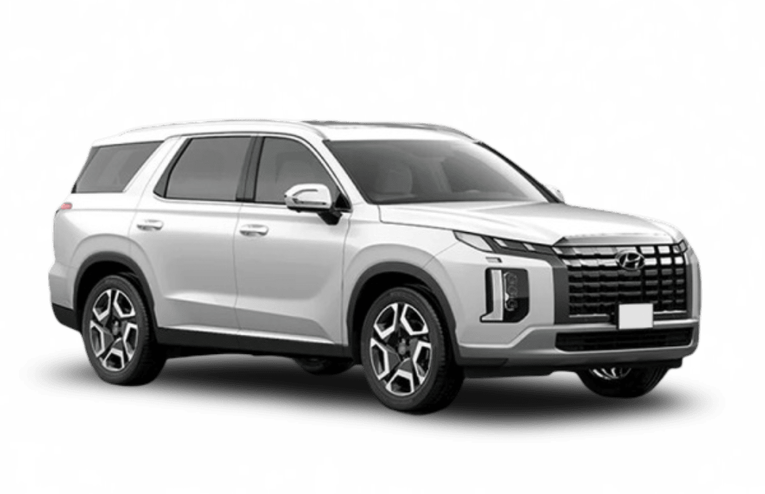 Hyundai Palisade New