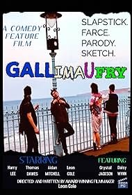 Постер Gallimaufry
