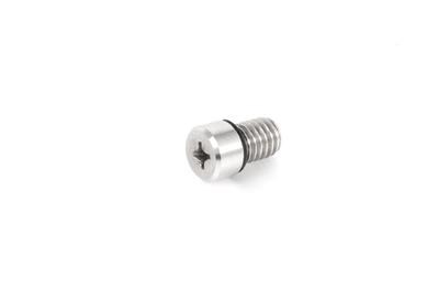 Винт вентиляции SCREW AIR VALVE