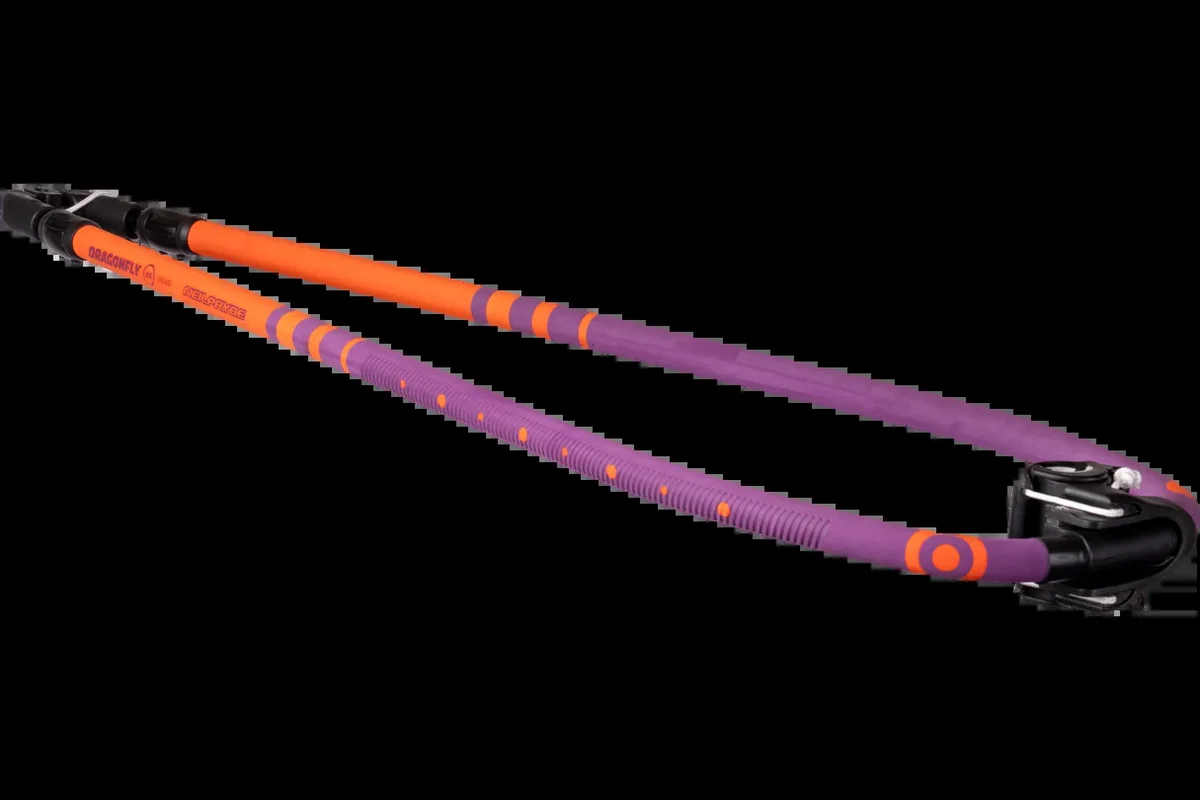 DRAGON FLY