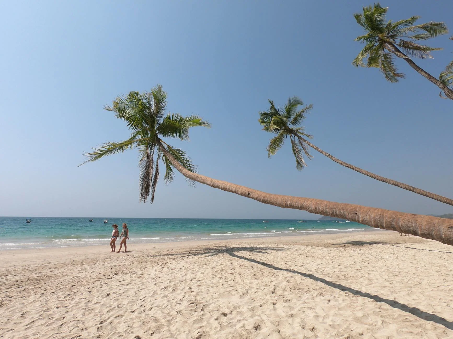 Tranquil sandy beach with towering palm trees and ocean view in Myanmar.