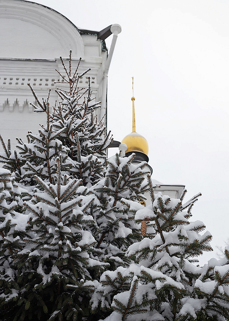 2020-12-15 Борисоглебский-201215_134605
