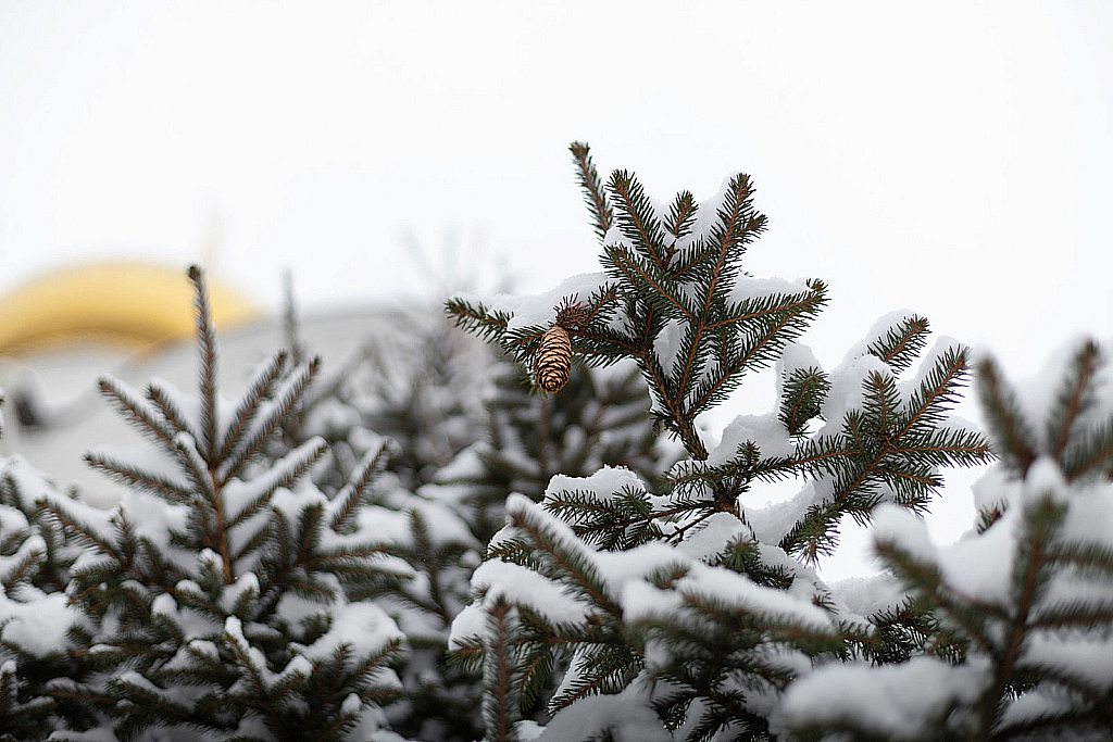2020-12-15 Борисоглебский-201215_134741