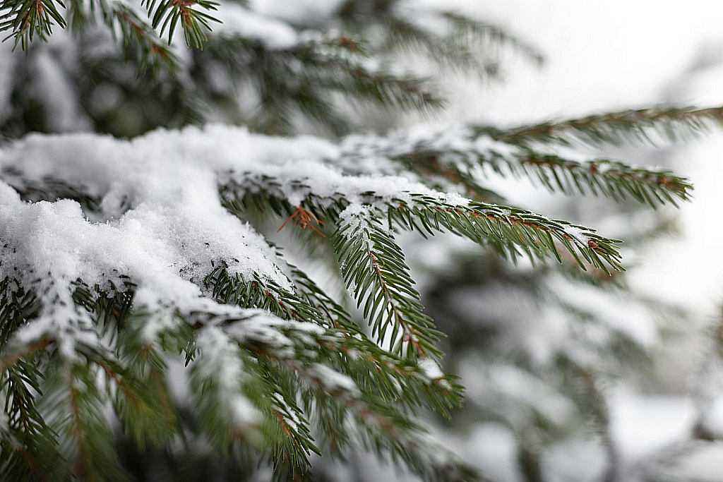 2020-12-15 Борисоглебский-201215_134836