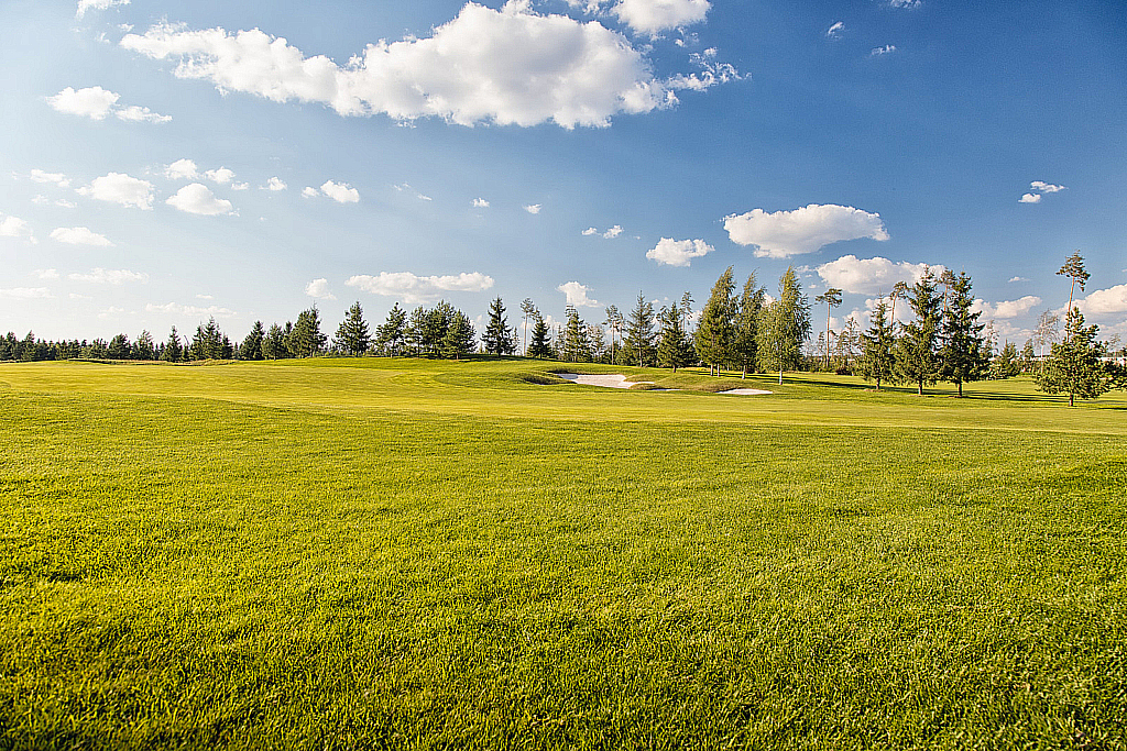 Агаларов Эстэйт — Русагротранс-180803_175650
