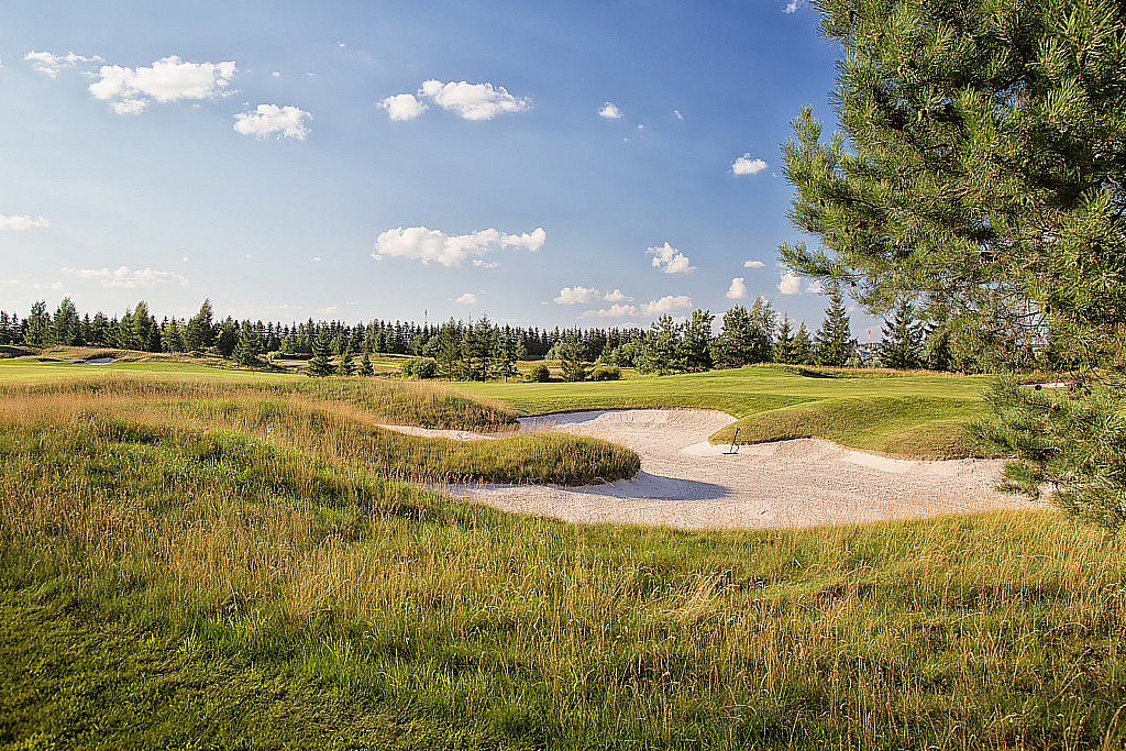 Агаларов Эстэйт — Русагротранс-180803_180144