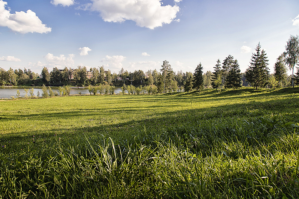 Агаларов Эстэйт — Русагротранс-180803_180847