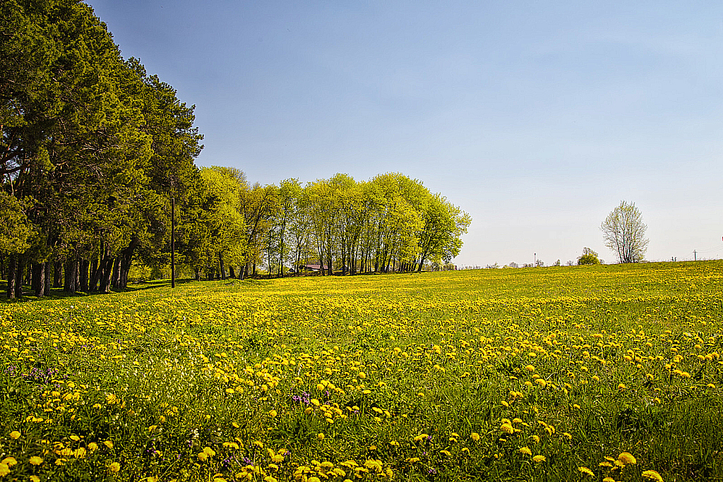 Беларусь — Мирский замок-190429_131052