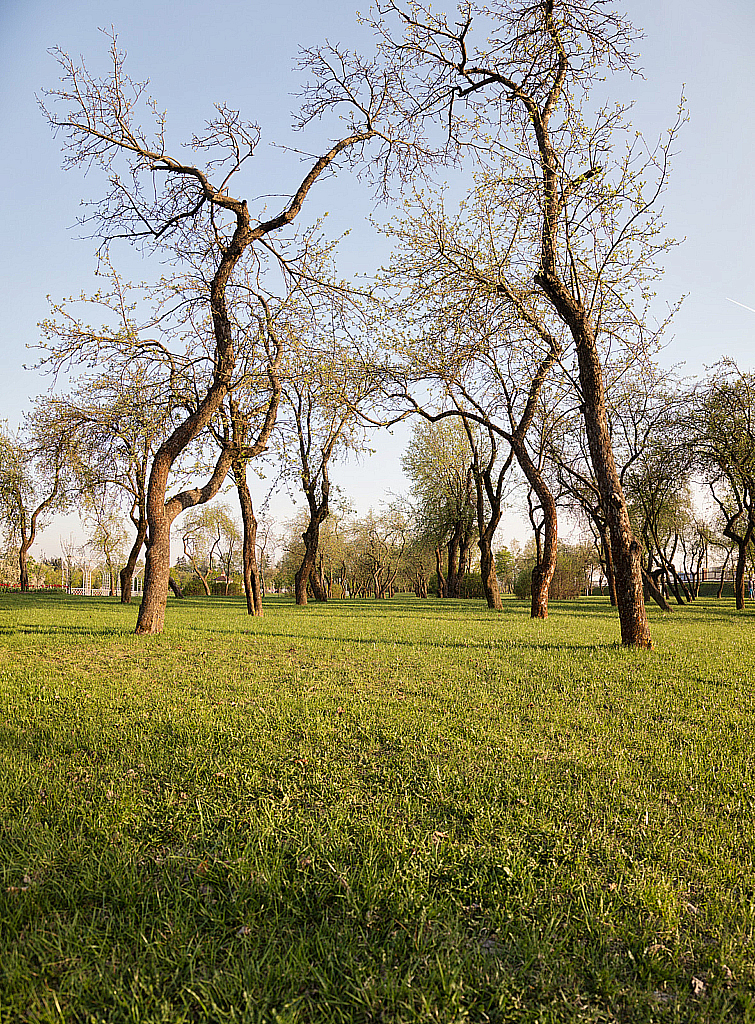 Беларусь — Парк-190428_191413