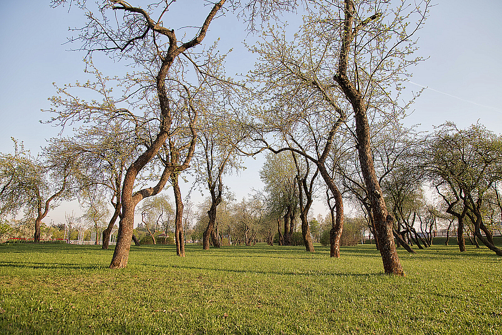Беларусь — Парк-190428_191507
