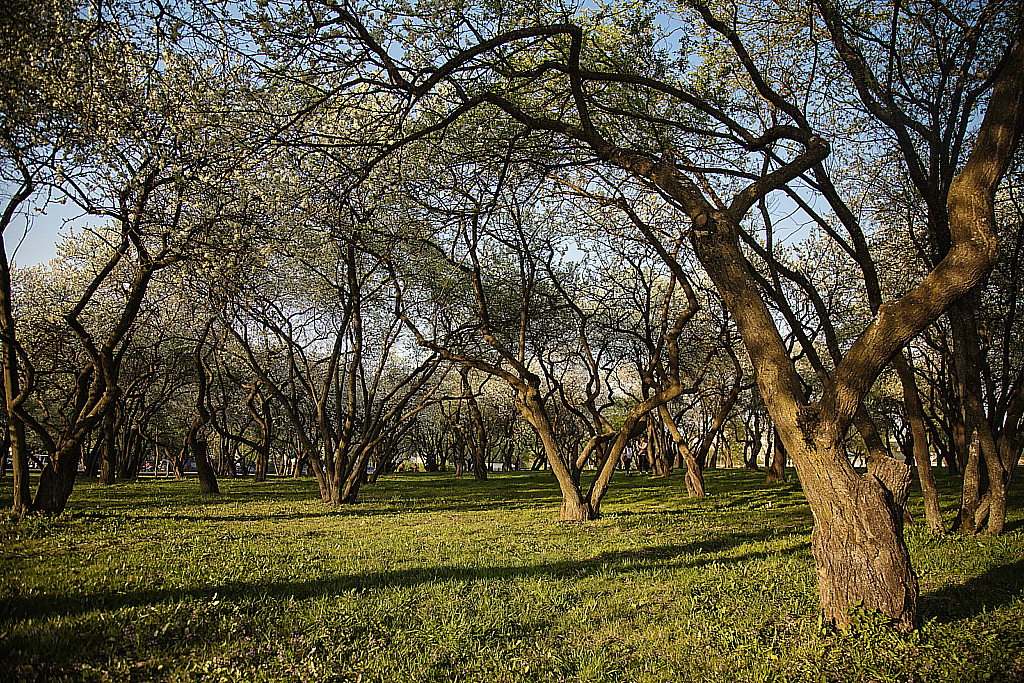 Беларусь — Парк-190428_192551