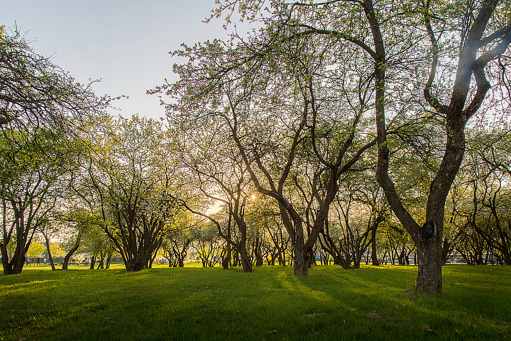 Беларусь — Парк-190428_192825