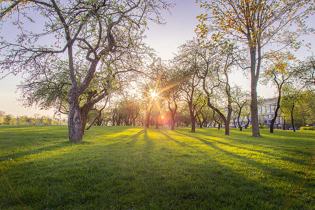Беларусь — Парк-190428_193343