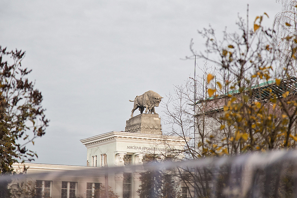 ВДНХ 2019-191026_165744