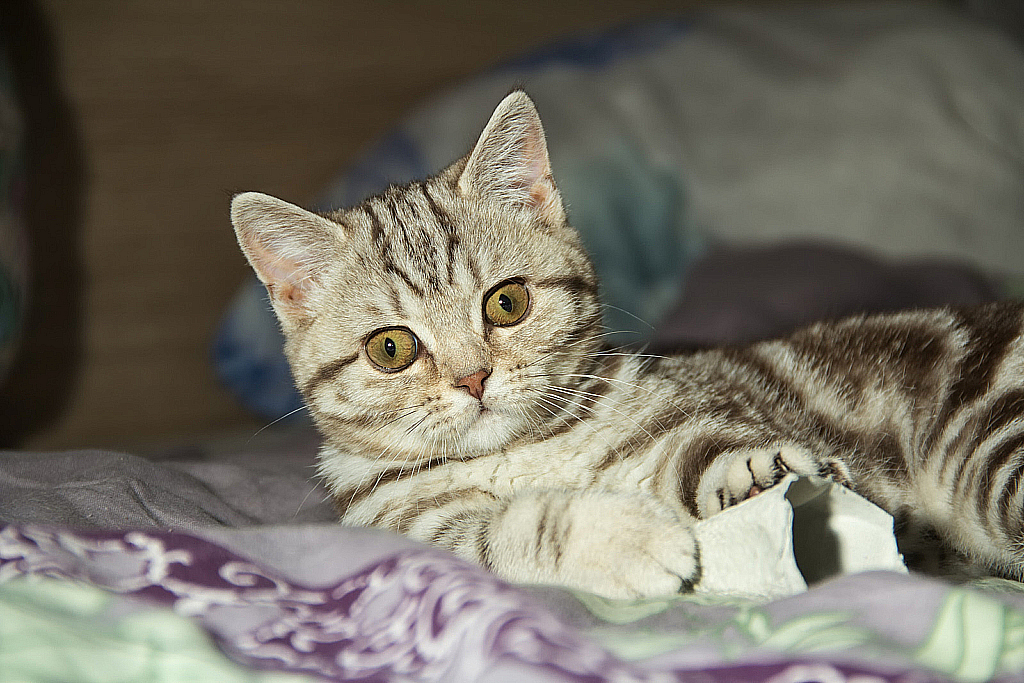 Ватруша-150308_144957