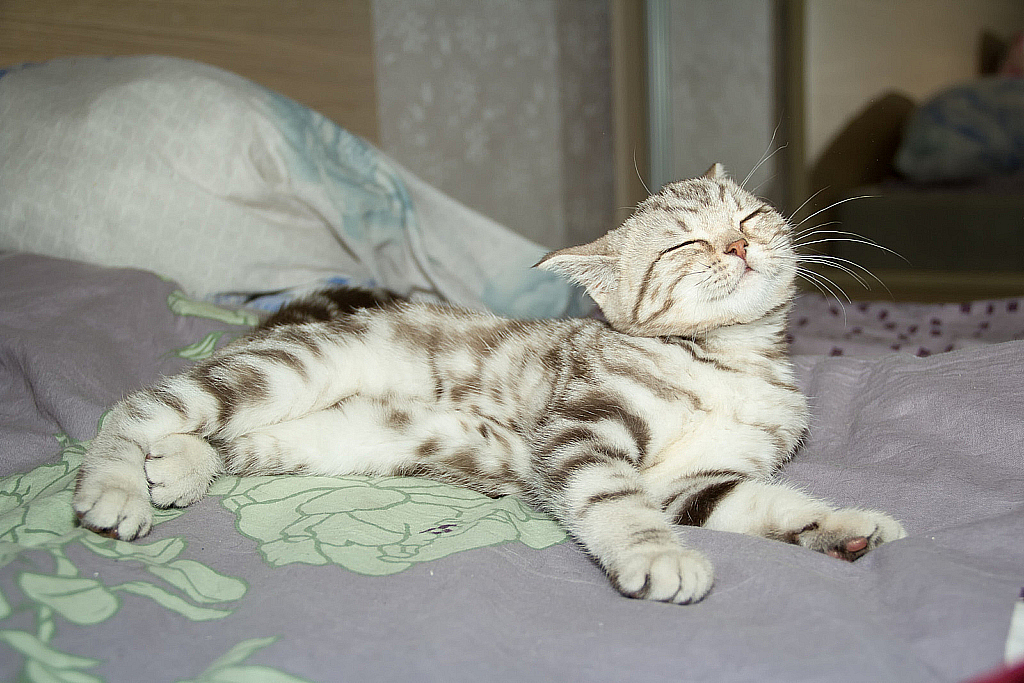 Ватруша-150308_145514